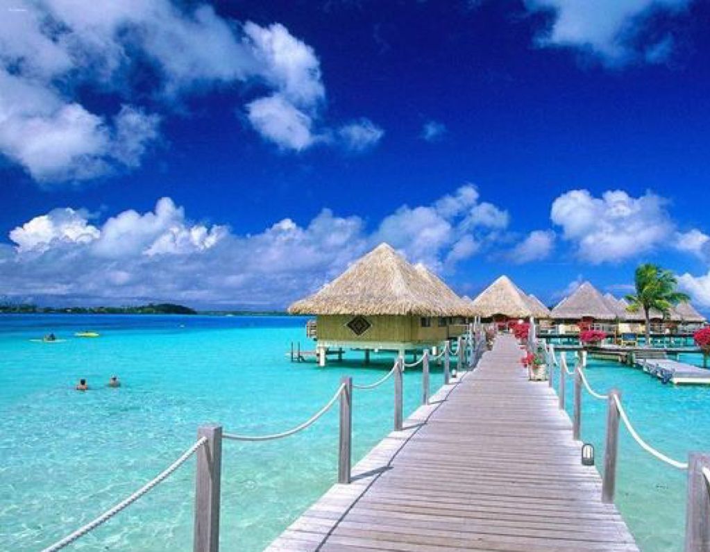 看见推荐|“成名之路”线上音乐大赛正式开启