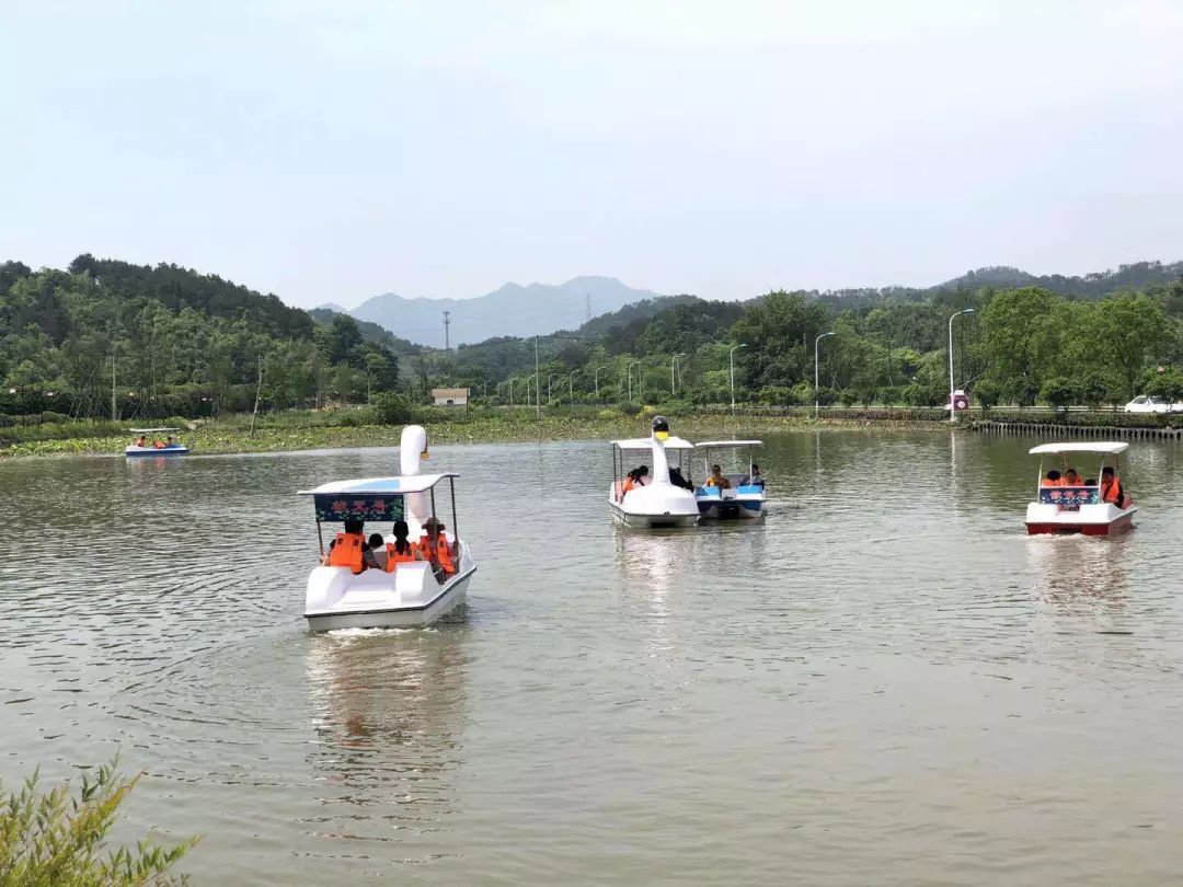 动物谷乐园,动物山谷乐园