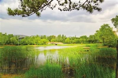 呼和浩特周边踏青一日游,呼和浩特周末好去处亲近大自然