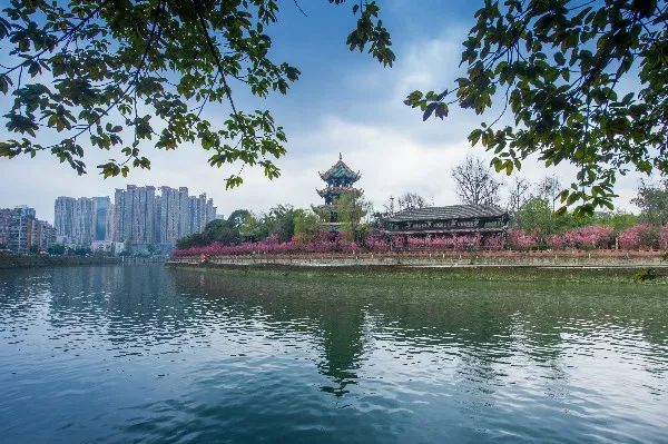 锦江数字化转型之路,锦江的发展方向