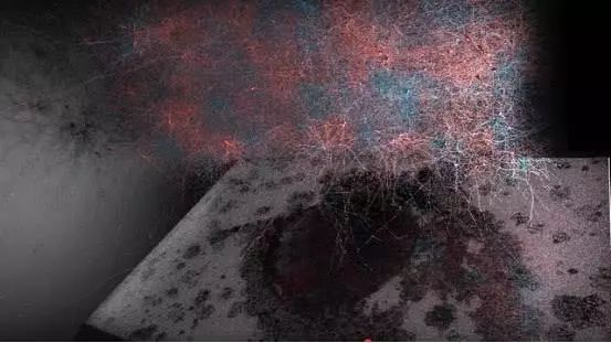 4维空间被数学家证明真实存在,德国数学家发现4维空间真实存在