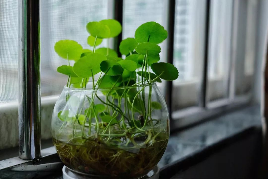 夏天房间开空调有臭味怎么解决,夏天空调有味换什么