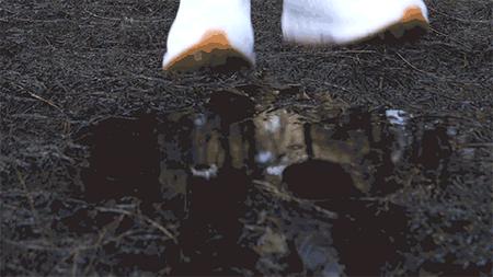 这双运动鞋竟然防水！暴雨大雪都不湿，还巨暖和