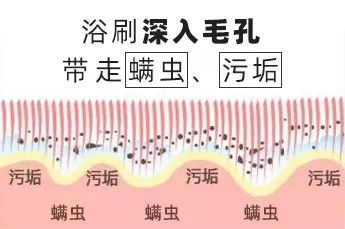 洗澡搓背神器不伤肤无痛,洗澡搓背神器去死皮深层清洁