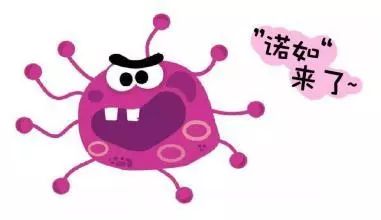 胃一直咕噜拉稀是诺如病毒吗,北京疾控提醒