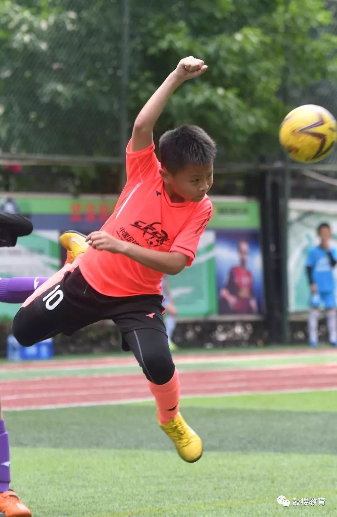 牛蛙冠军,牛娃考了100分乐翻天