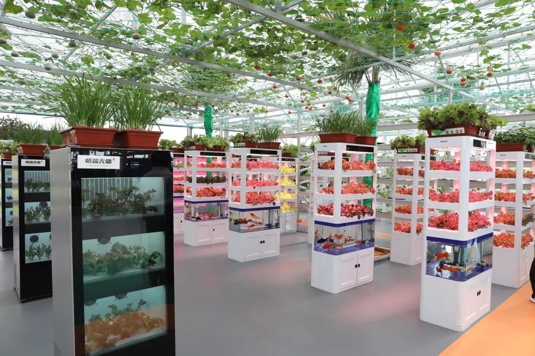 干事创业激情和担当作为,激情干事