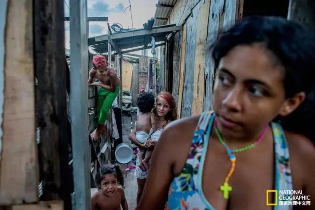 北极蚊子都泛滥了，咱被咬两口就别哭了