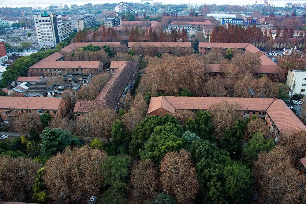 天呐!武汉这个区开挂了!反正我是羡慕了!