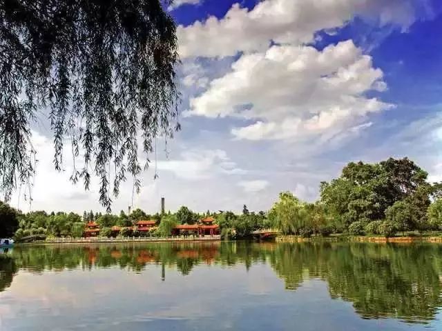 天呐!武汉这个区开挂了!反正我是羡慕了!