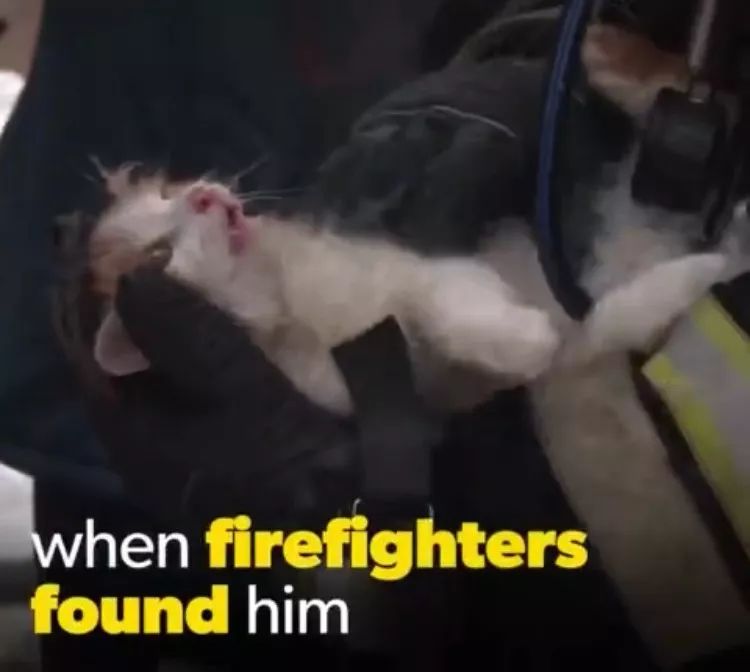 消防员才是人们心目中真正的超人,万能的消防员比什么都有安全感