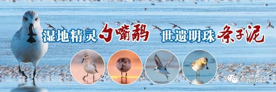 秦皇岛兵马俑有彩色的吗,彩色陶瓷版兵马俑马车