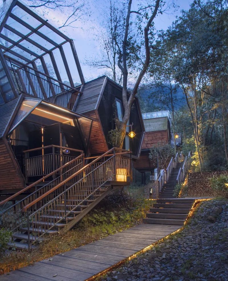 全球最受欢迎树屋酒店｜夜晚坠入大自然的梦乡，清晨在森林的枝桠间醒来