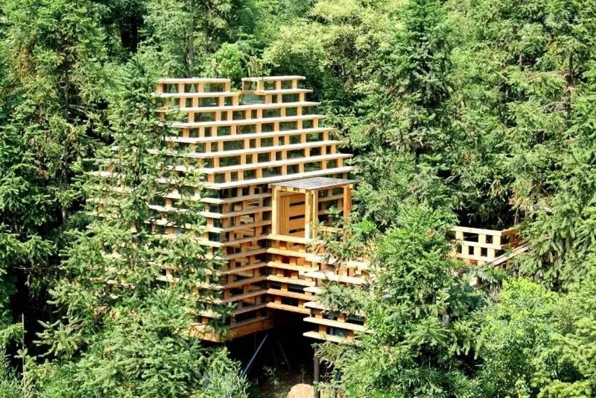 全球最受欢迎树屋酒店｜夜晚坠入大自然的梦乡，清晨在森林的枝桠间醒来