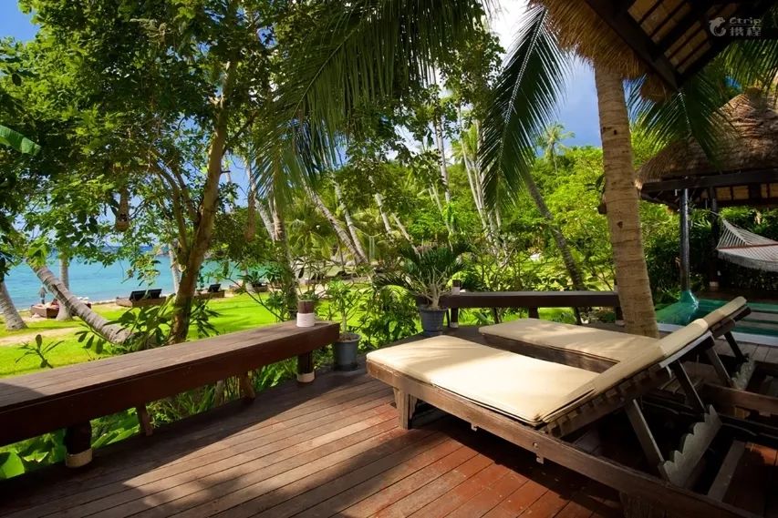 全球最受欢迎树屋酒店｜夜晚坠入大自然的梦乡，清晨在森林的枝桠间醒来