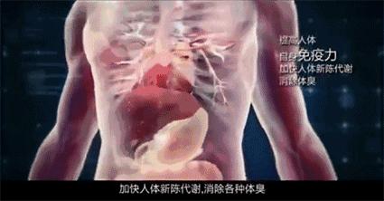 湿气重做什么动作可以排湿,湿气重吃什么药可以快速排湿