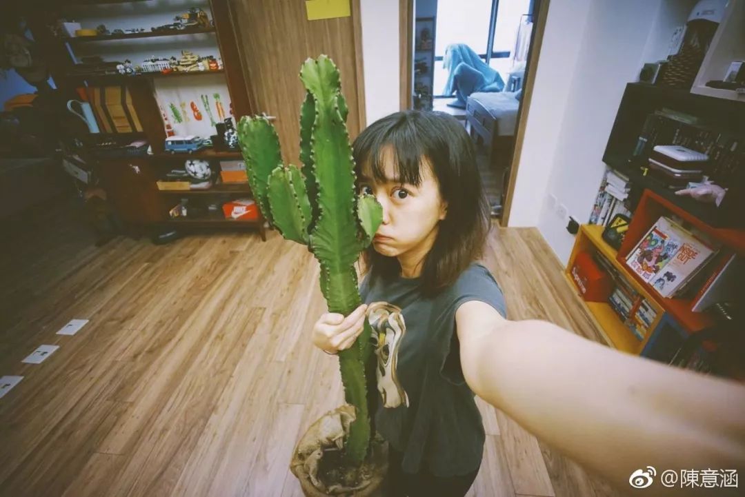 美人计中的明星,美人计冻龄