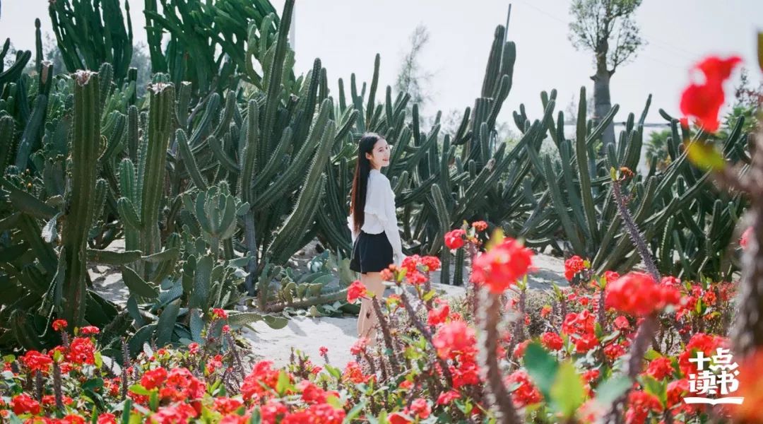 人千万别整天唉声叹气,千万不要唉声叹气看完受益终生