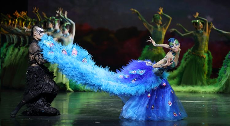 大理人眼中的大理,大理人民眼中的大理地图