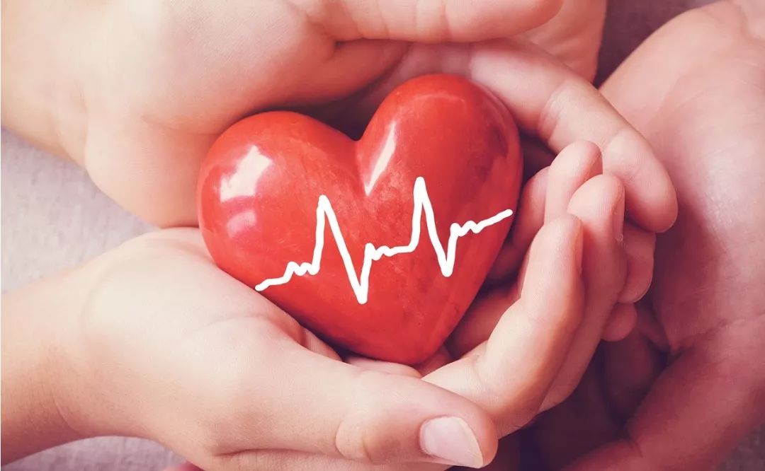 稀有熊猫血多少一升,稀缺的熊猫血