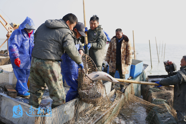 守护一江碧水完整视频,守护好一江碧水工作职责