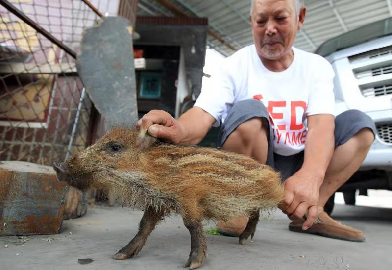 天蓬元帅别惹农夫怎么解锁,天蓬元帅下界被欺负