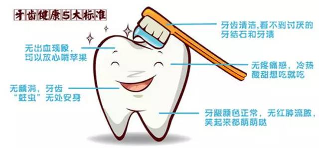 牙周知识大全,杏林微科普急救知识