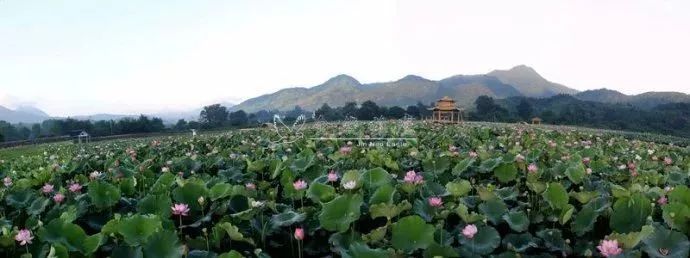 福建最有发展潜力几个市辖区,福建未来重点发展区域