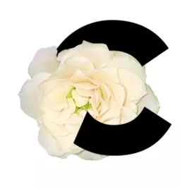 因感情不和寻人启事,寻人启事能说感情破裂吗