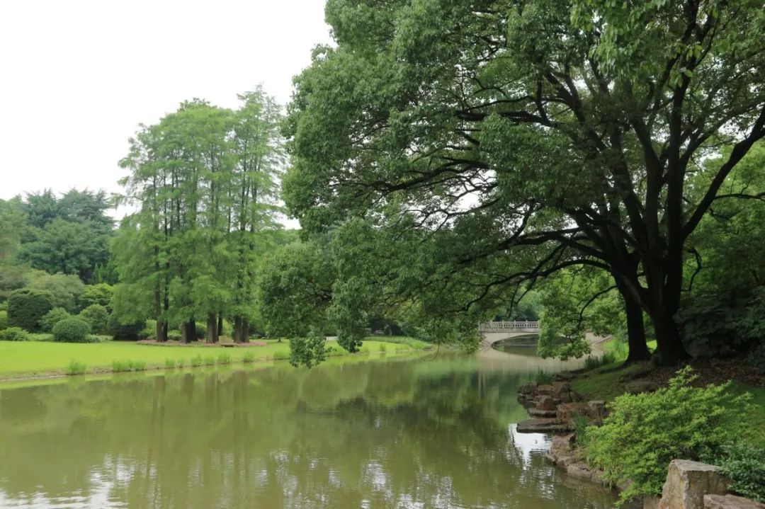 西郊宾馆美如画,西郊宾馆5000平别墅