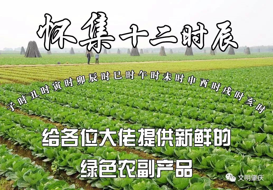 肇庆宜居城市,中国最有幸福感的县城