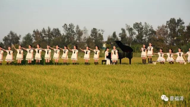 福建两岸融合发展新闻发布会,福建新闻联播水稻制种