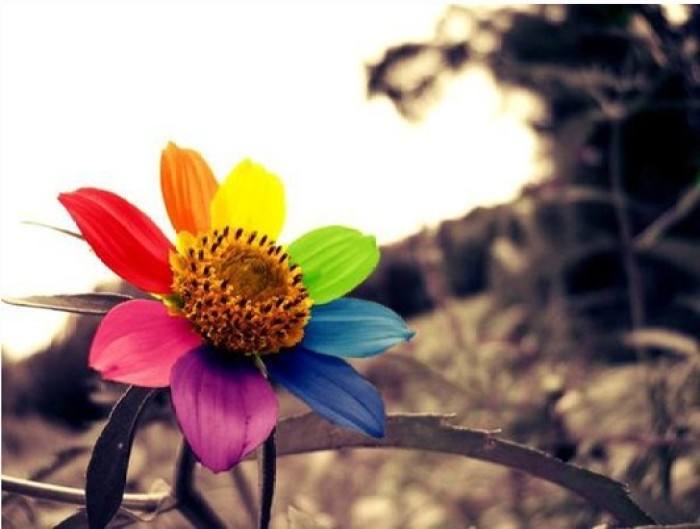 干脆的拒绝犹豫的答应,干脆的拒绝婉转的答应