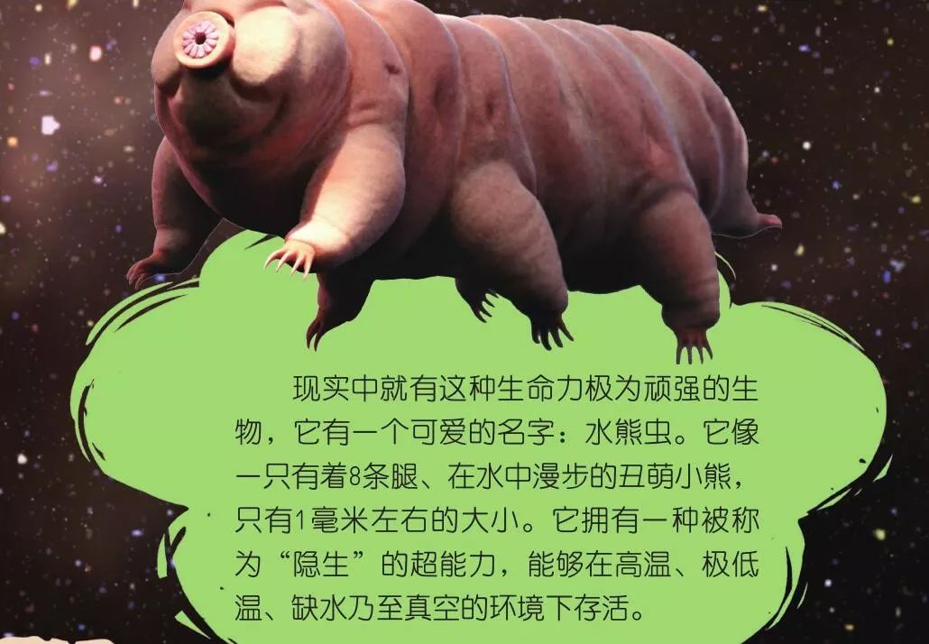 生命在地球上如何诞生？