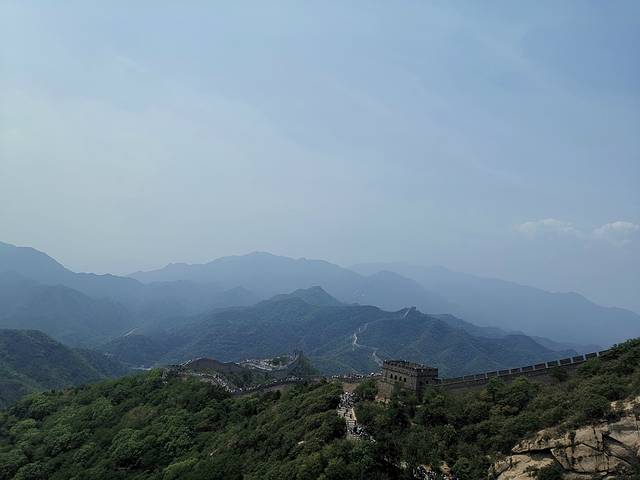 一家老小向前冲300集连续播放,一家老小向前冲共800集