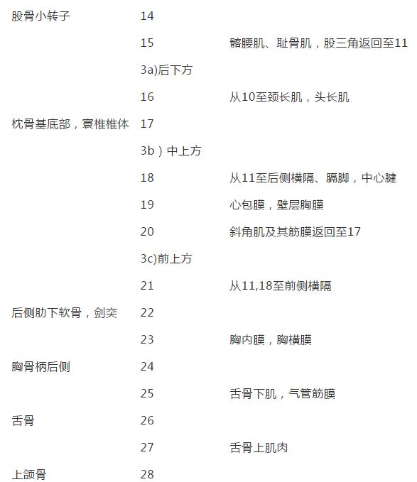 筋膜的康复训练方法,12条筋膜链解析及治疗手法