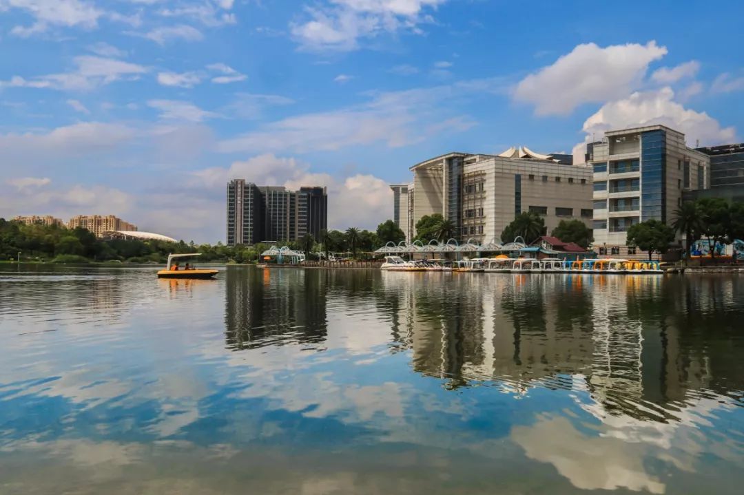 【在线访谈】传承金罗店文脉,打造长江口上的中国历史文化名镇