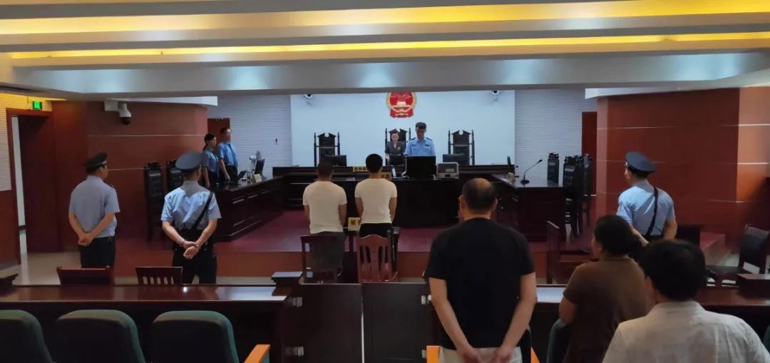 诈骗认罪认罚不起诉案例,涉嫌诈骗认罪认罚的结果