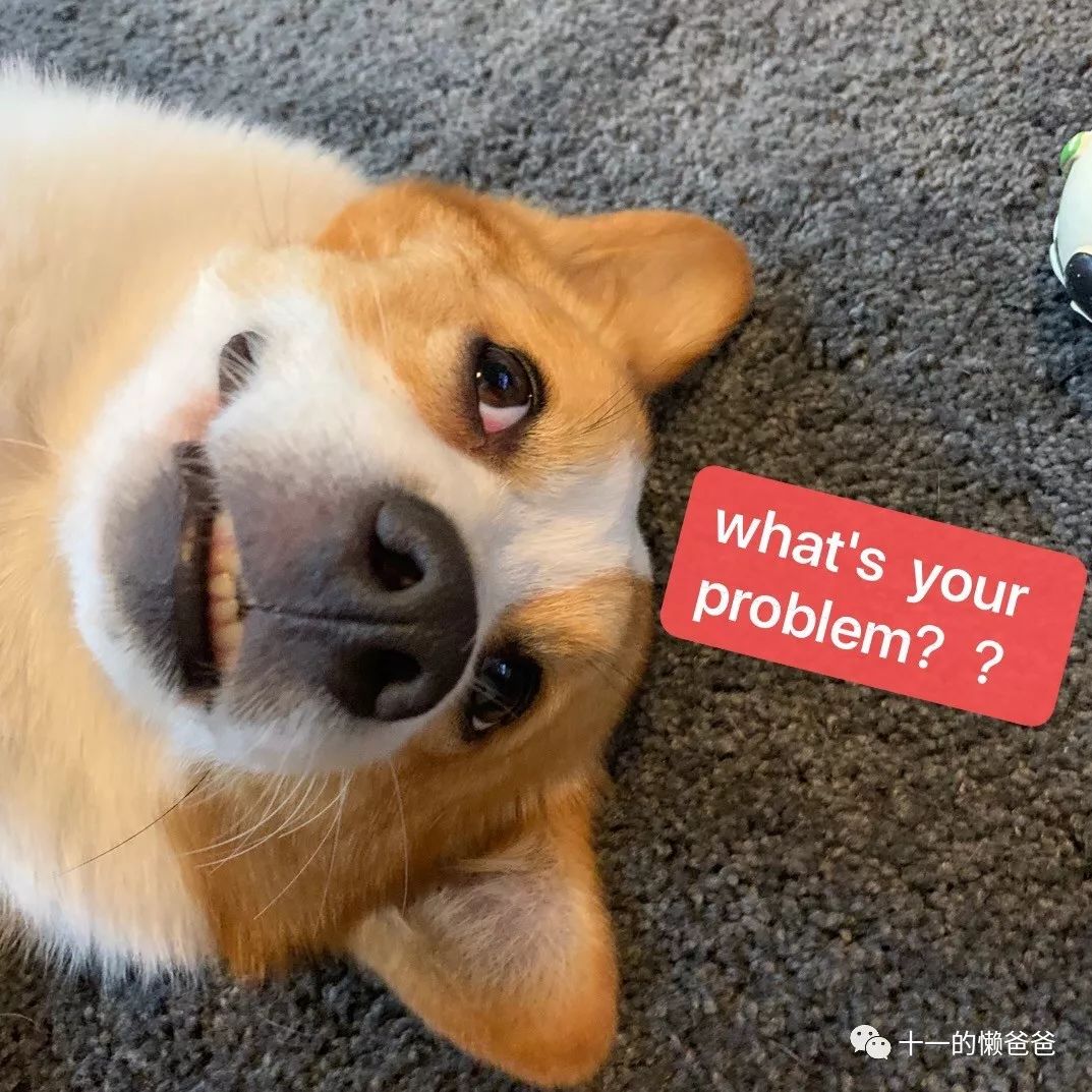 下沉市场哪些生意值得做,下沉市场哪些行业有机会