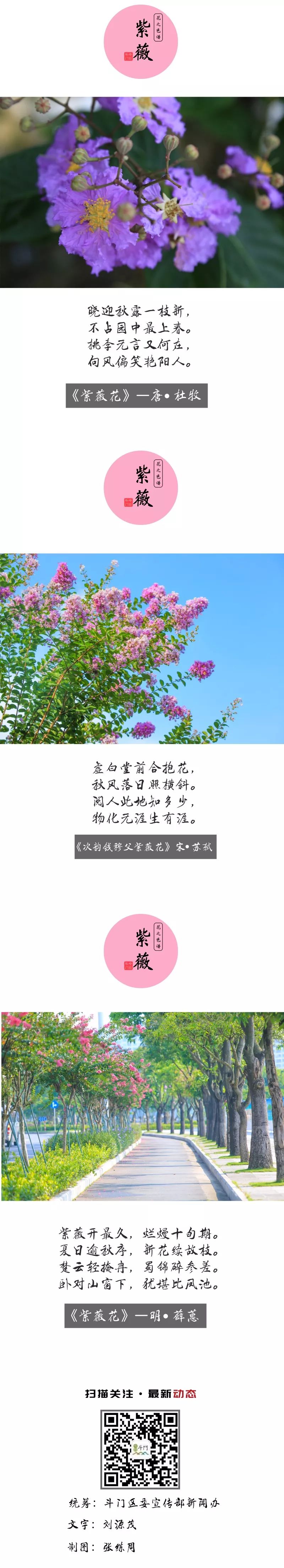 喜欢拍照的快来打卡,想去拍照的景点