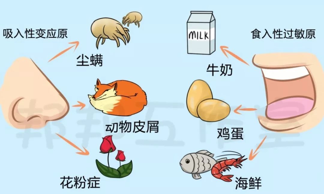 治疗过敏性鼻炎最快最有效的方法,治疗过敏性鼻炎的小妙招