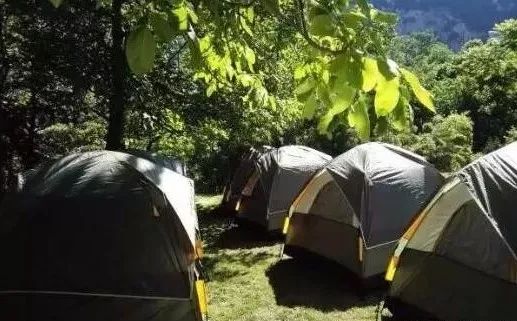 假期游夏令营,夏令营不玩手机