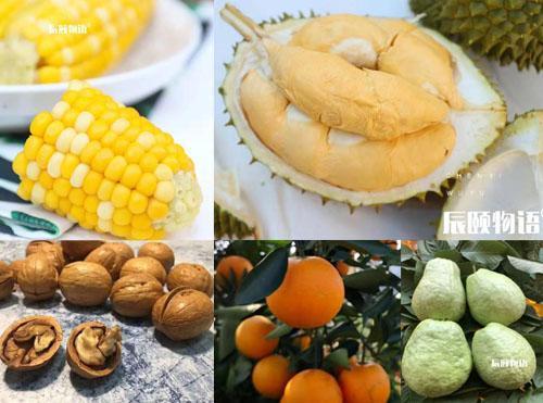 辰颐物语怎么在网上做平台代理,辰颐物语的代理方法