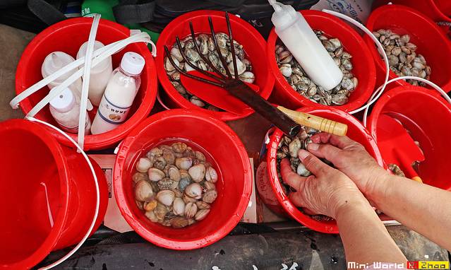 在礐石居然有这么一个世外桃源,日照有哪些海滩可以免费赶海