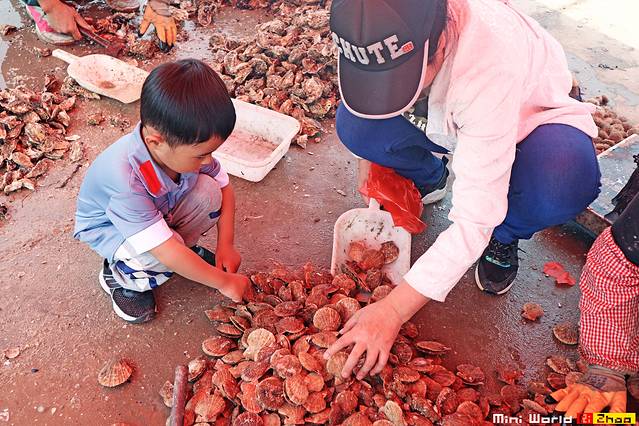 在礐石居然有这么一个世外桃源,日照有哪些海滩可以免费赶海