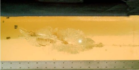 你以为瞄的准就打的准?*击狙**手基础知识讲解