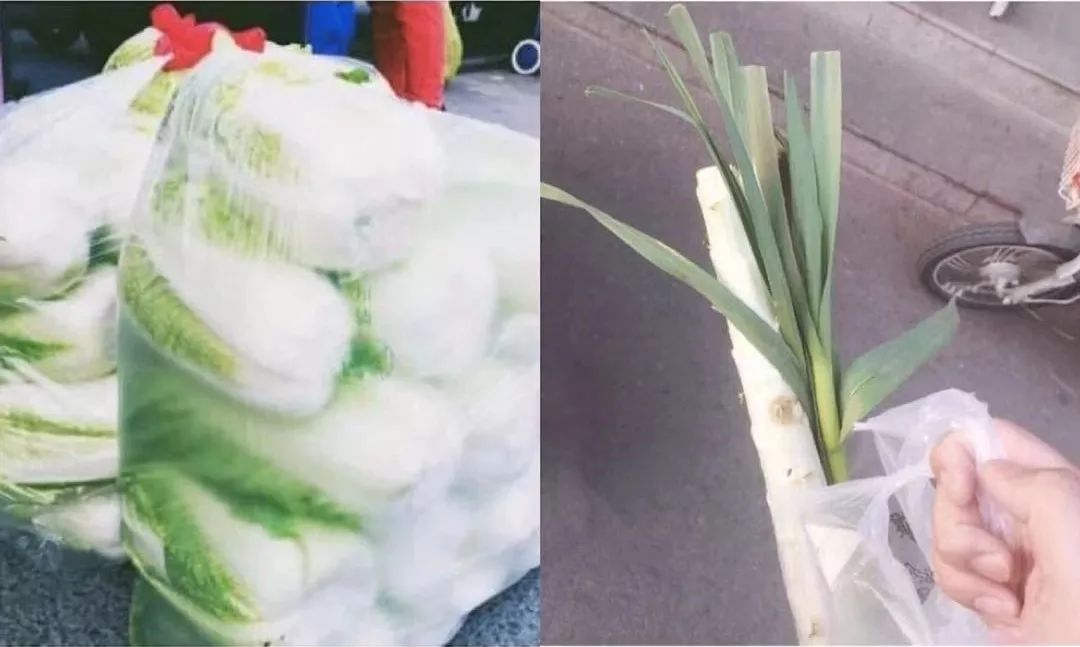 在上海一个人单身的生活,上海独自一人的生活