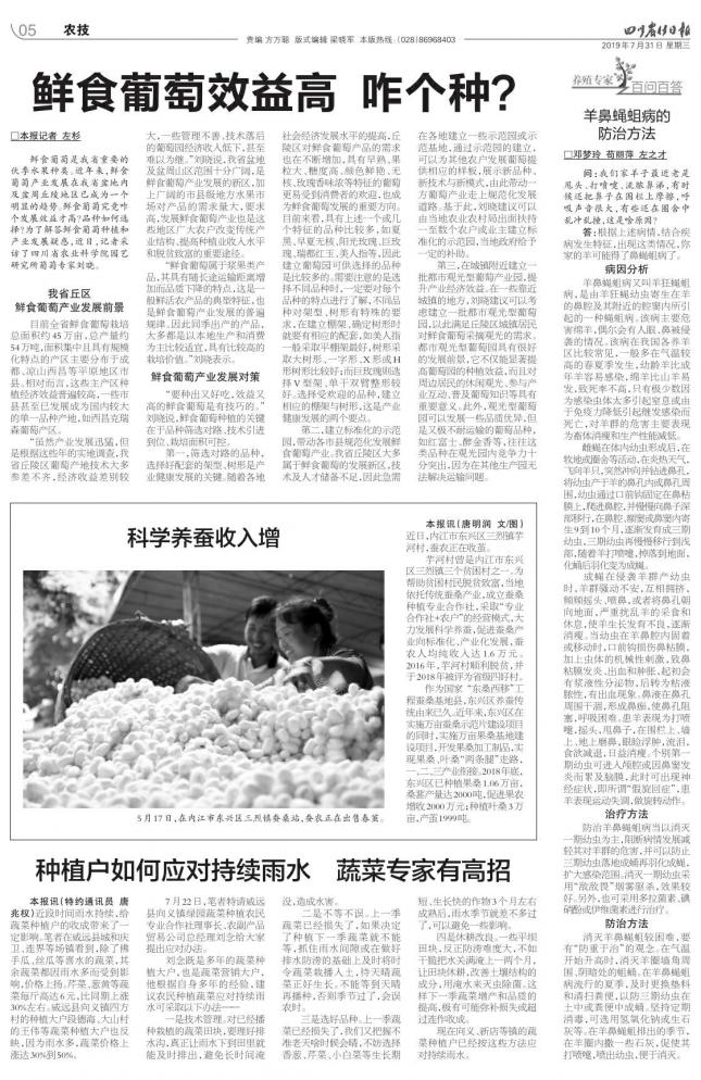 羊鼻蝇蛆病的防治方法