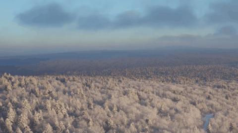 东北延边吃什么特色的菜,延边菜东北菜
