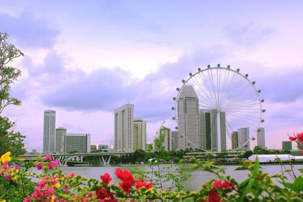 到新加坡签证费用一般多少钱,去新加坡旅游签证费用多少钱